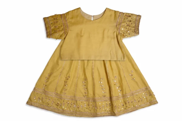 Mustard Embroidered Lehenga & Choli